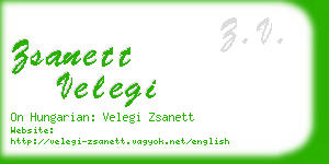 zsanett velegi business card